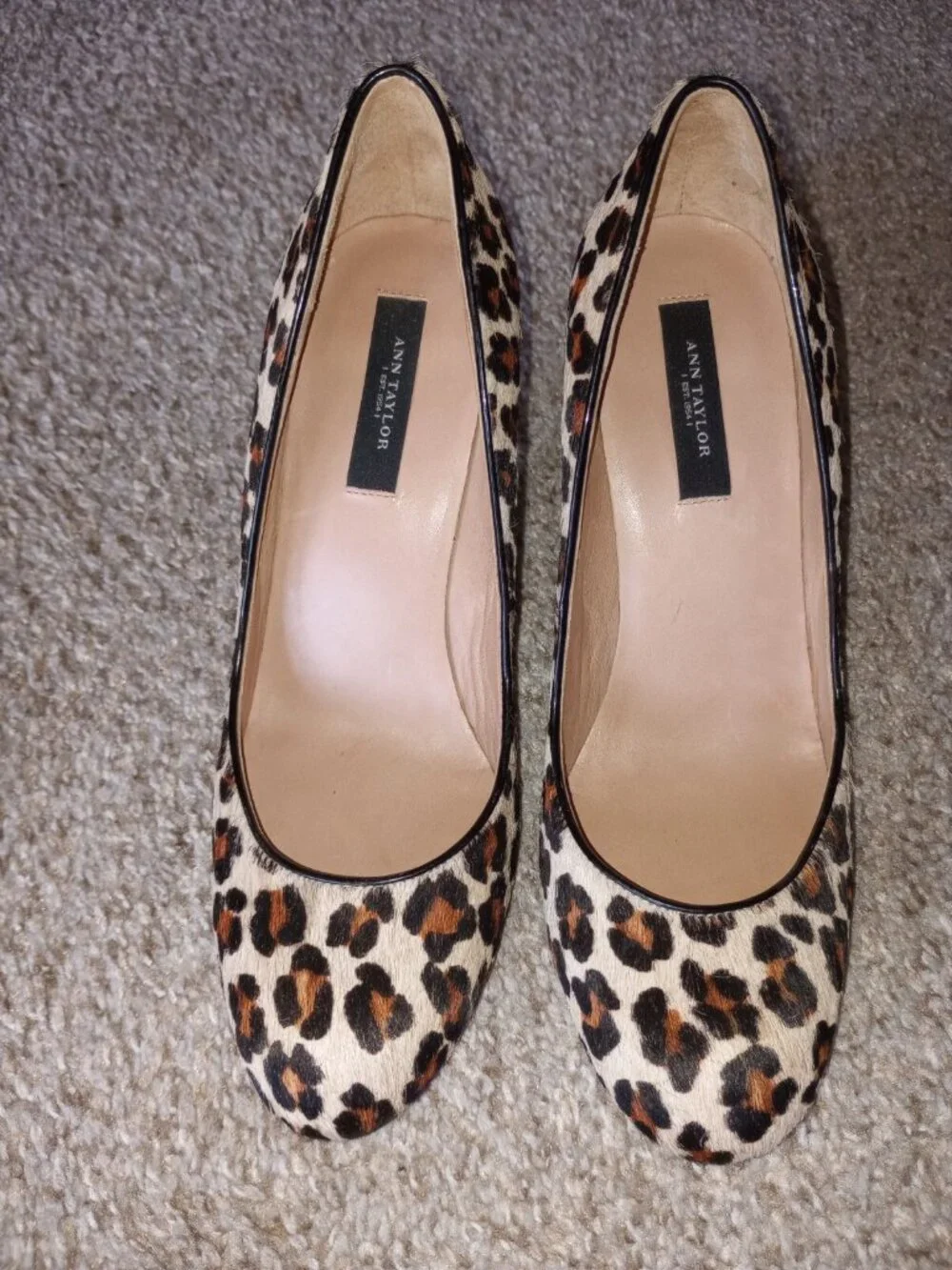 Ann Taylor leopard-print shoes , size 6 M